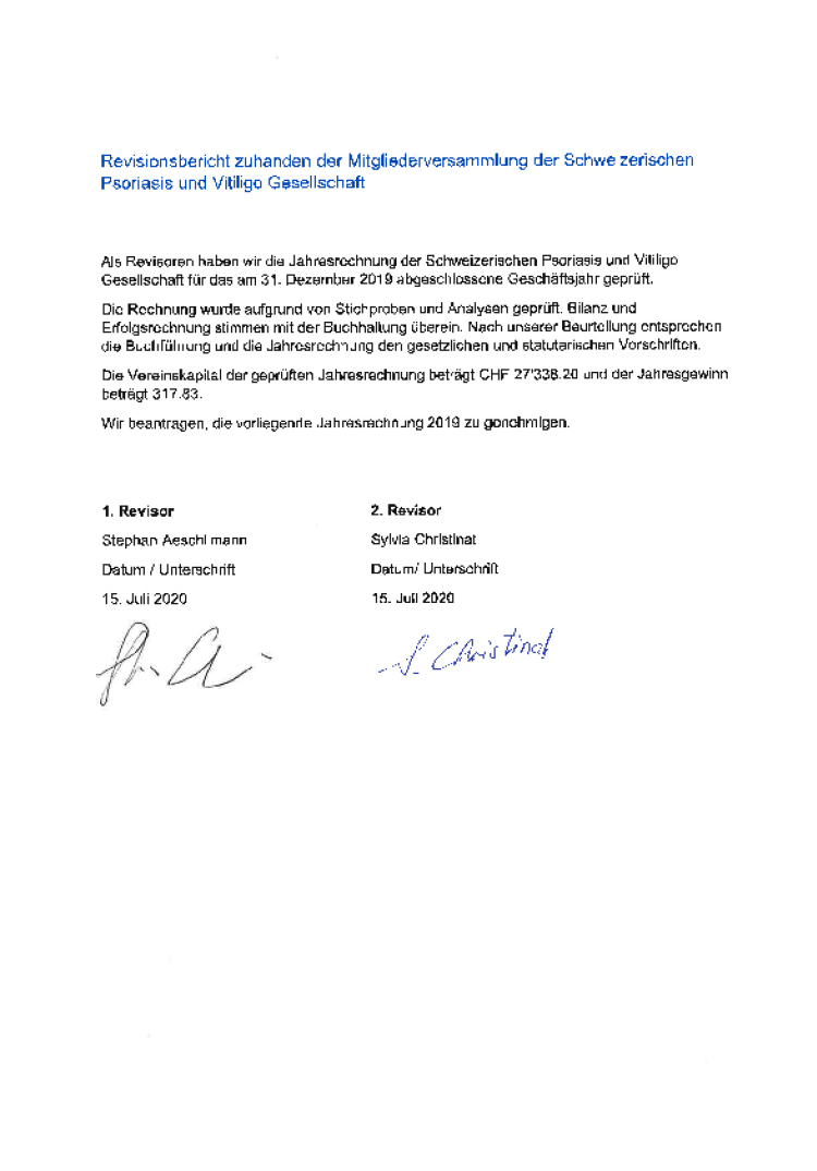 revisionsbericht spvg 2019